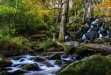 waterfalls in devon