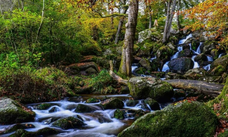 waterfalls in devon