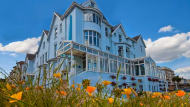 sea verge hotel paignton