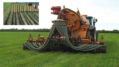 digestate