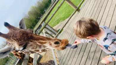 banham zoo tickets