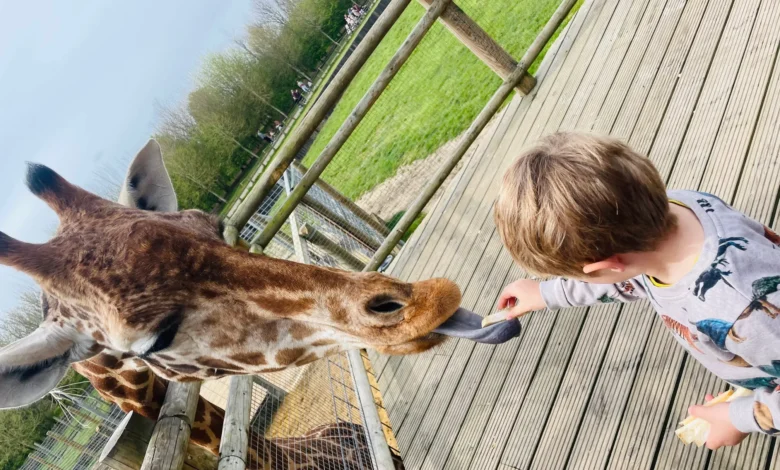 banham zoo tickets