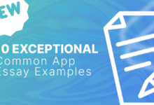 common app essay examples