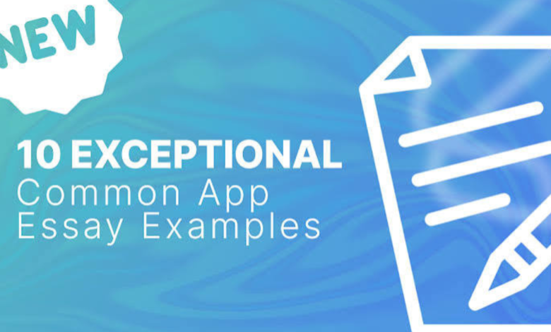 common app essay examples